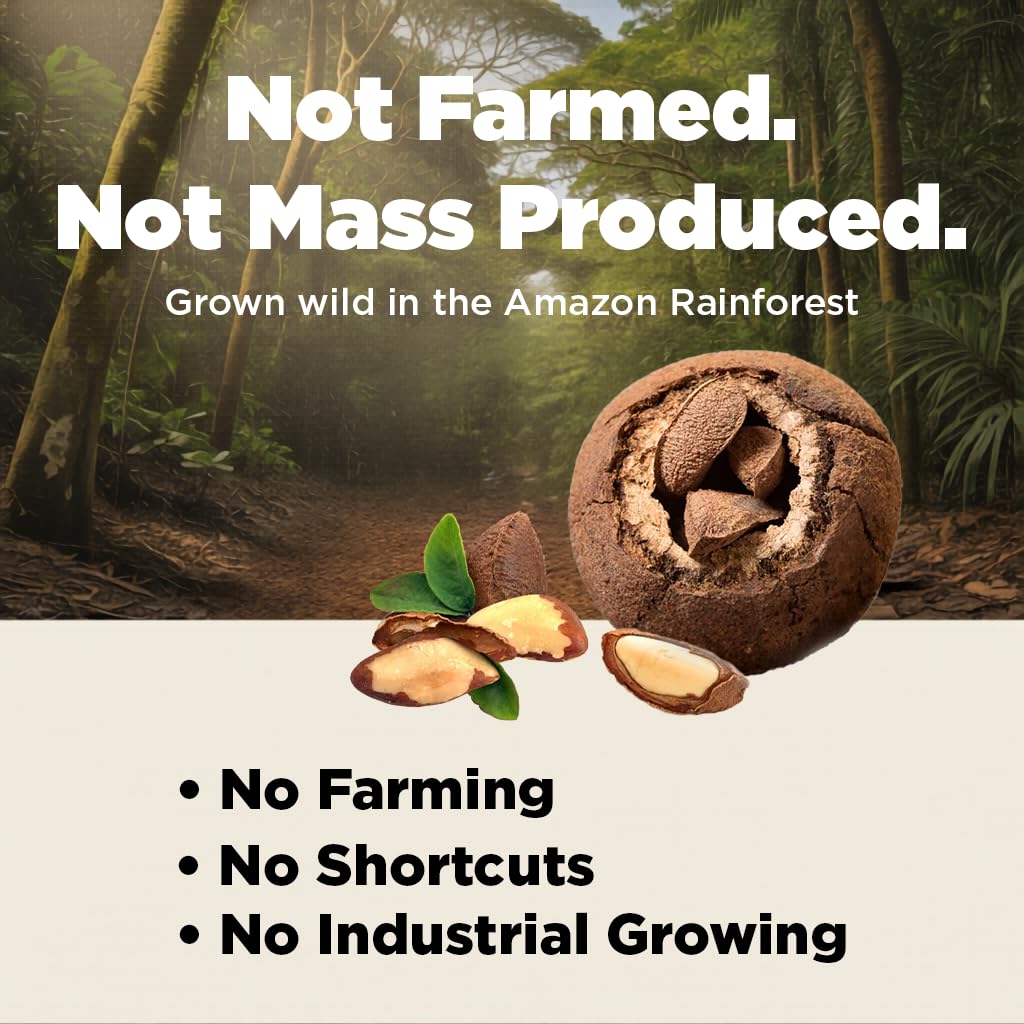 Premium Wild Harvested Raw Brazil Nuts, (8oz) - High Selenium, Batch Tested Peanut & Gluten Free, Non-GMO, Kosher, Resealable Bag