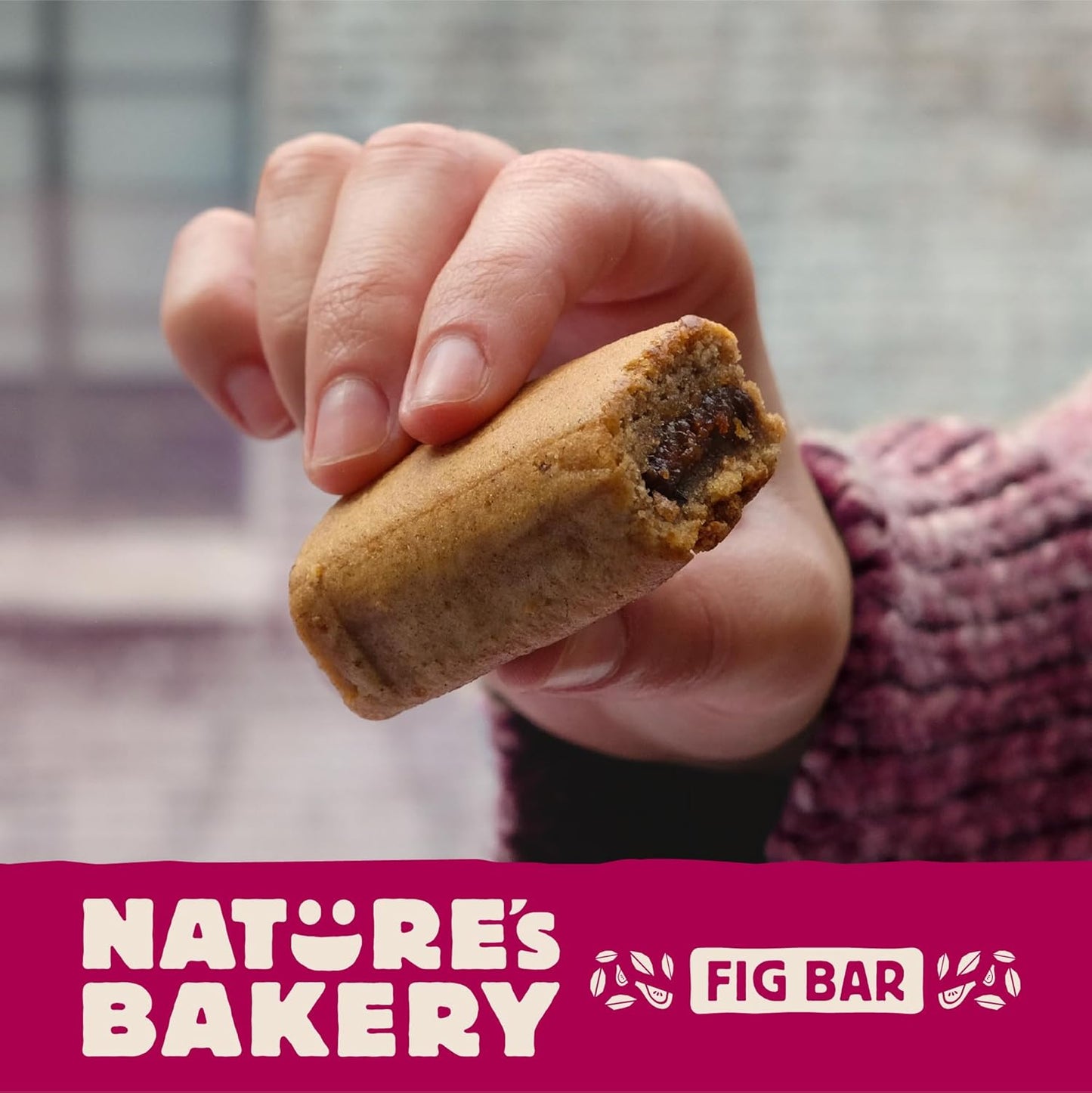 Nature’s Bakery Gluten Free Fig Bars, Raspberry, Real Fruit, Vegan, Non-GMO, Snack Bar, 1 box with 6 twin packs (6 twin packs)