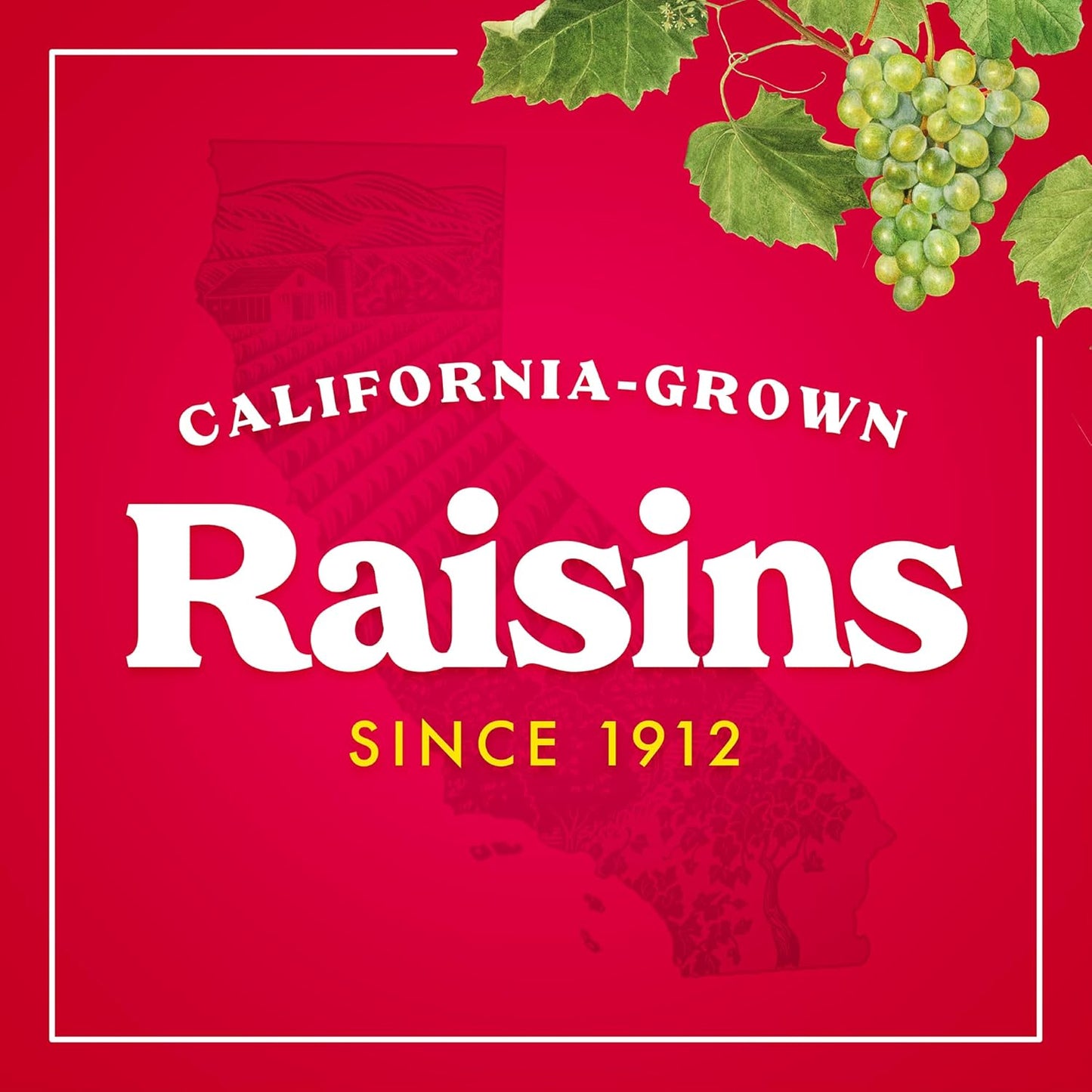 Sun-Maid California Sun-Dried Raisins - (2 Pack) 32 oz Resealable Bag - Dried Fruit Snack for Lunches, Snacks, and Natural Sweeteners