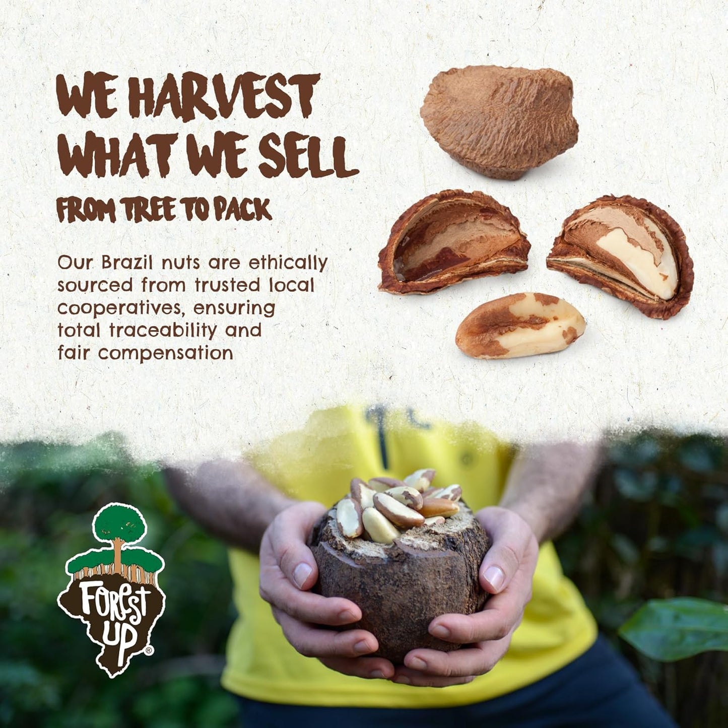 Snack The True Organic Brazil Nuts 15 oz – Raw and Unsalted – Kosher – Healthy-Rich in Vegetable Protein – Harvested in Amazon Rainforest – Fresh, Vegan and Gluten Free – Forest Up