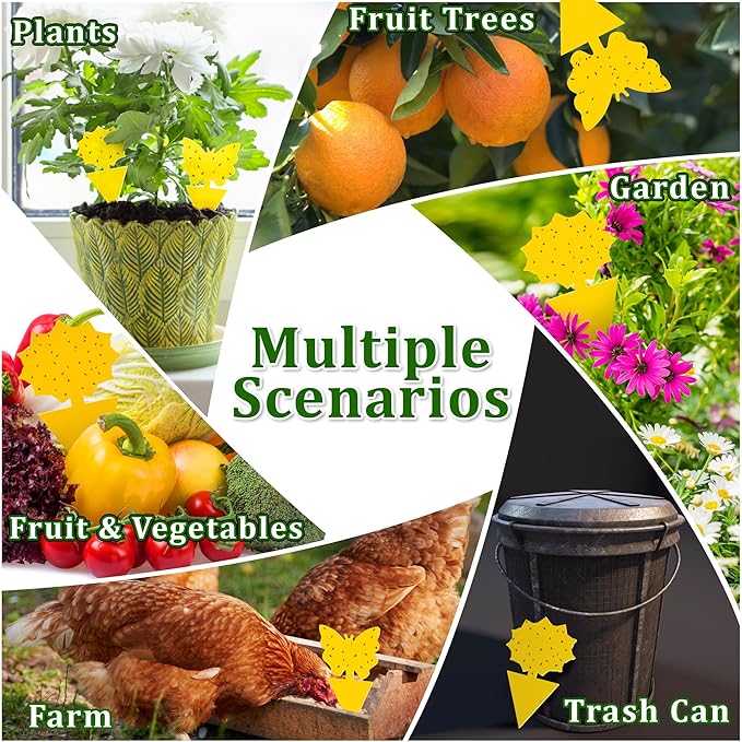 Landisun Fruit Fly Traps 48PCS Fungus Gnat-Traps for Indoor-Outdoor Yellow Fruit-Fly Sticky-Trap Plants Flying Bug Insects Traps