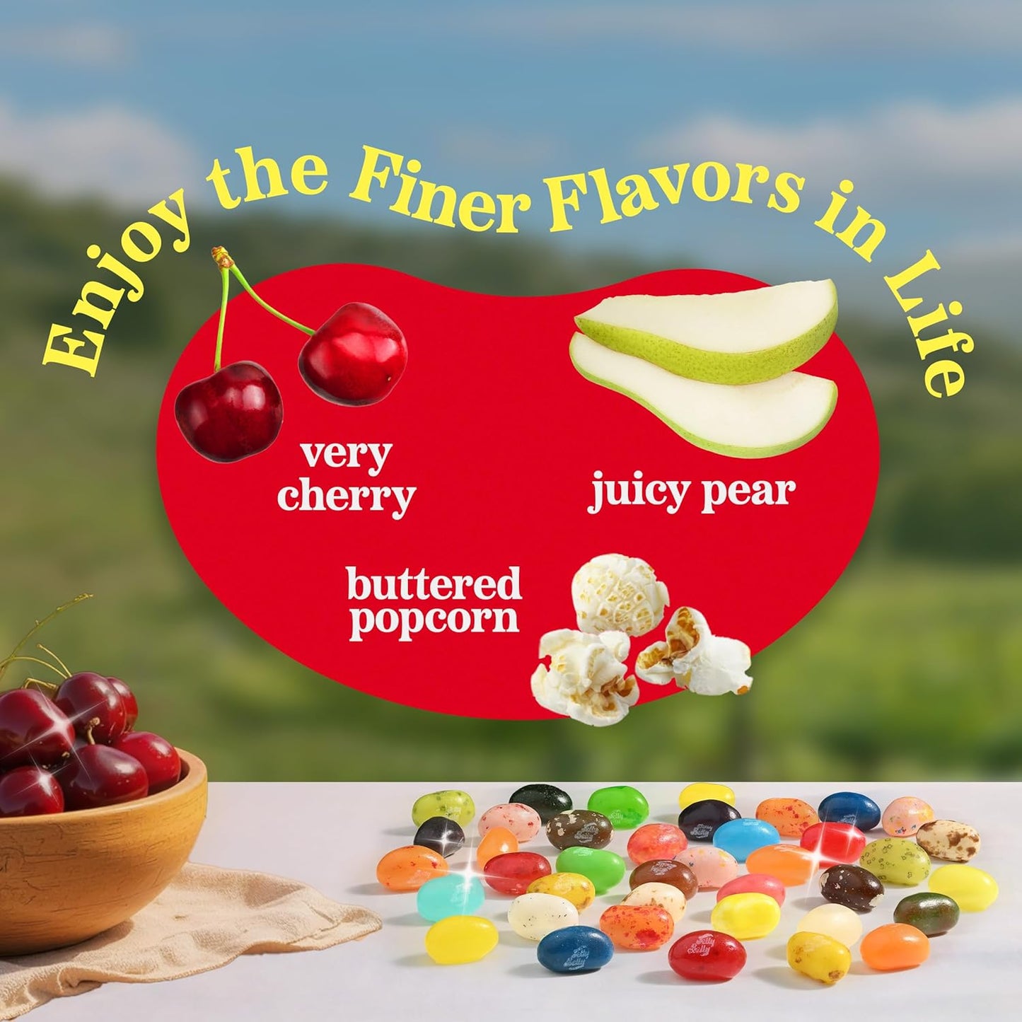 Jelly Belly Signature 40 Jelly Bean Collection - 1 Pound (16 Ounces) Resealable Bag - Genuine, Official, Straight from the Source