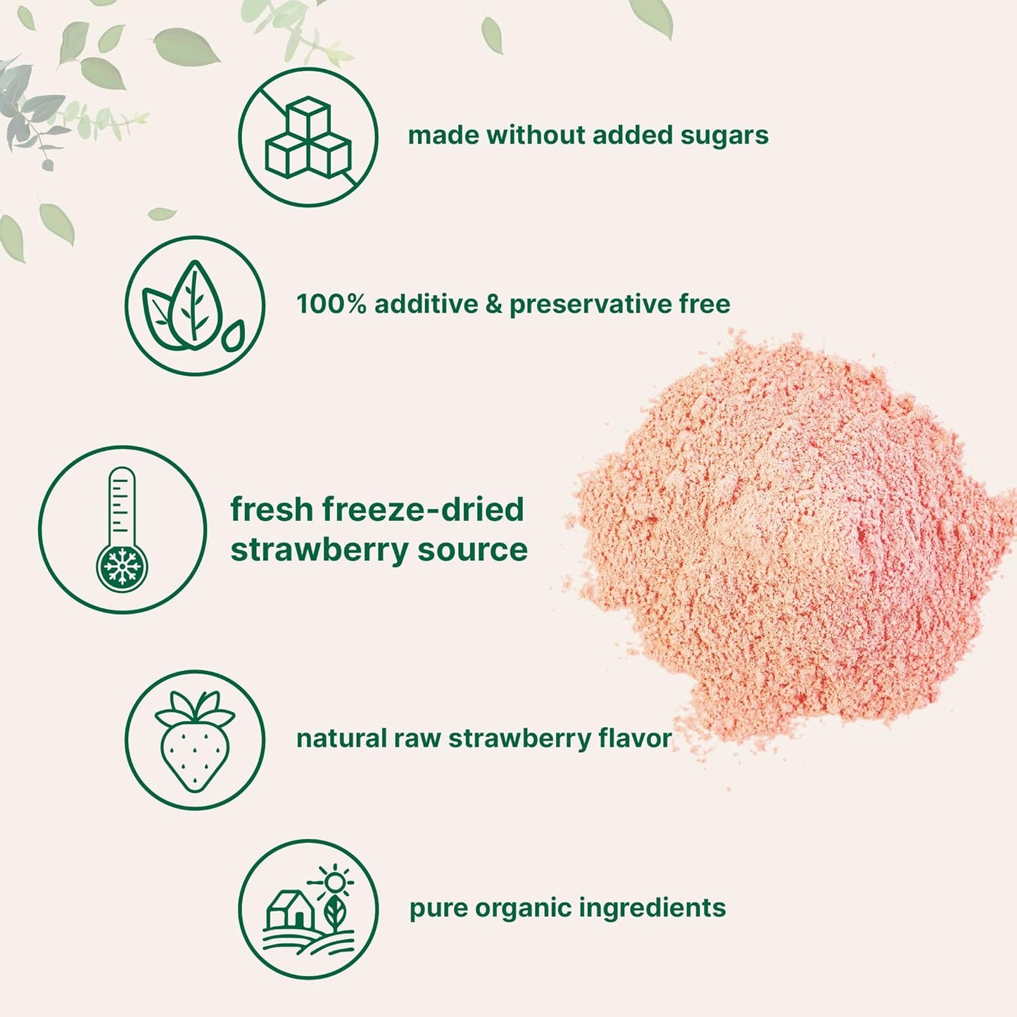 Organic Strawberry Powder, 1 Lb | 100% Natural Fruit Powder | Freeze-Dried Strawberries Source | No Sugar & Additives | Great Flavor for Drinks, Smoothie, & Beverages | Non-GMO & Vegan Friendly