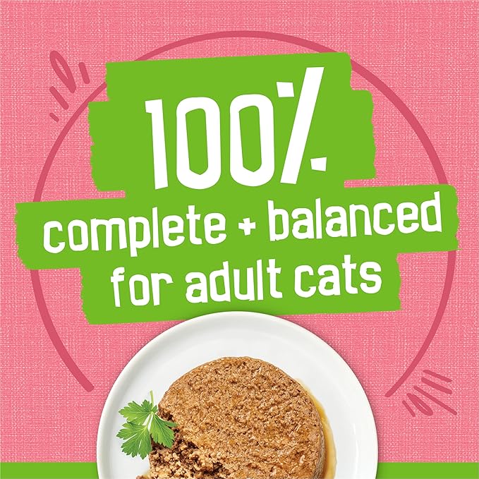 Purina Friskies Wet Cat Food Pate, Pate Salmon Dinner - (Pack of 24) 5.5 oz. Cans