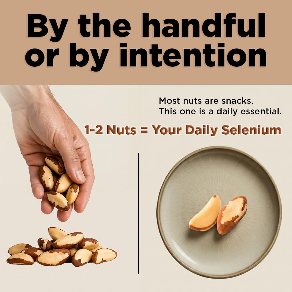 Premium Wild Harvested Raw Brazil Nuts, 1 lb (16oz) – High Selenium, Batch Tested Peanut & Gluten Free, Non-GMO, Kosher, Resealable Bag