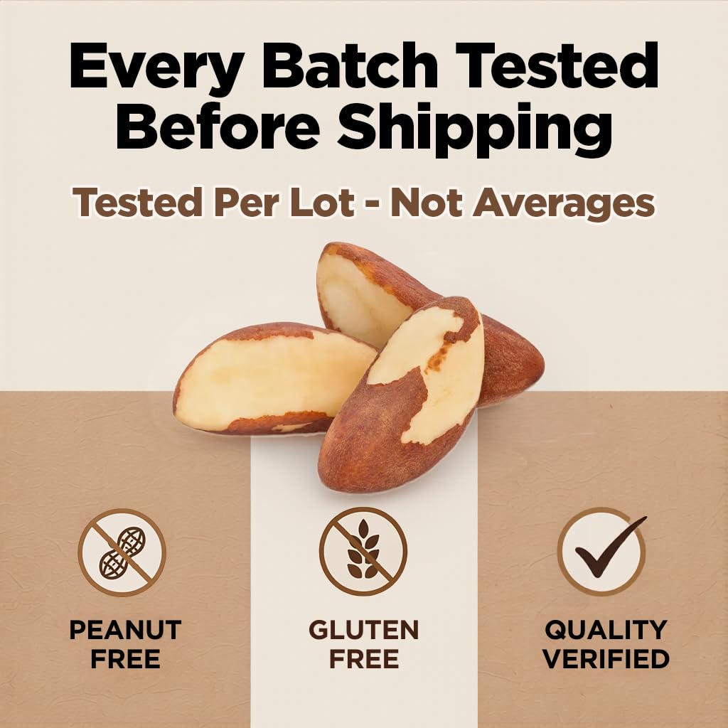 Premium Wild Harvested Raw Brazil Nuts, 1 lb (16oz) – High Selenium, Batch Tested Peanut & Gluten Free, Non-GMO, Kosher, Resealable Bag