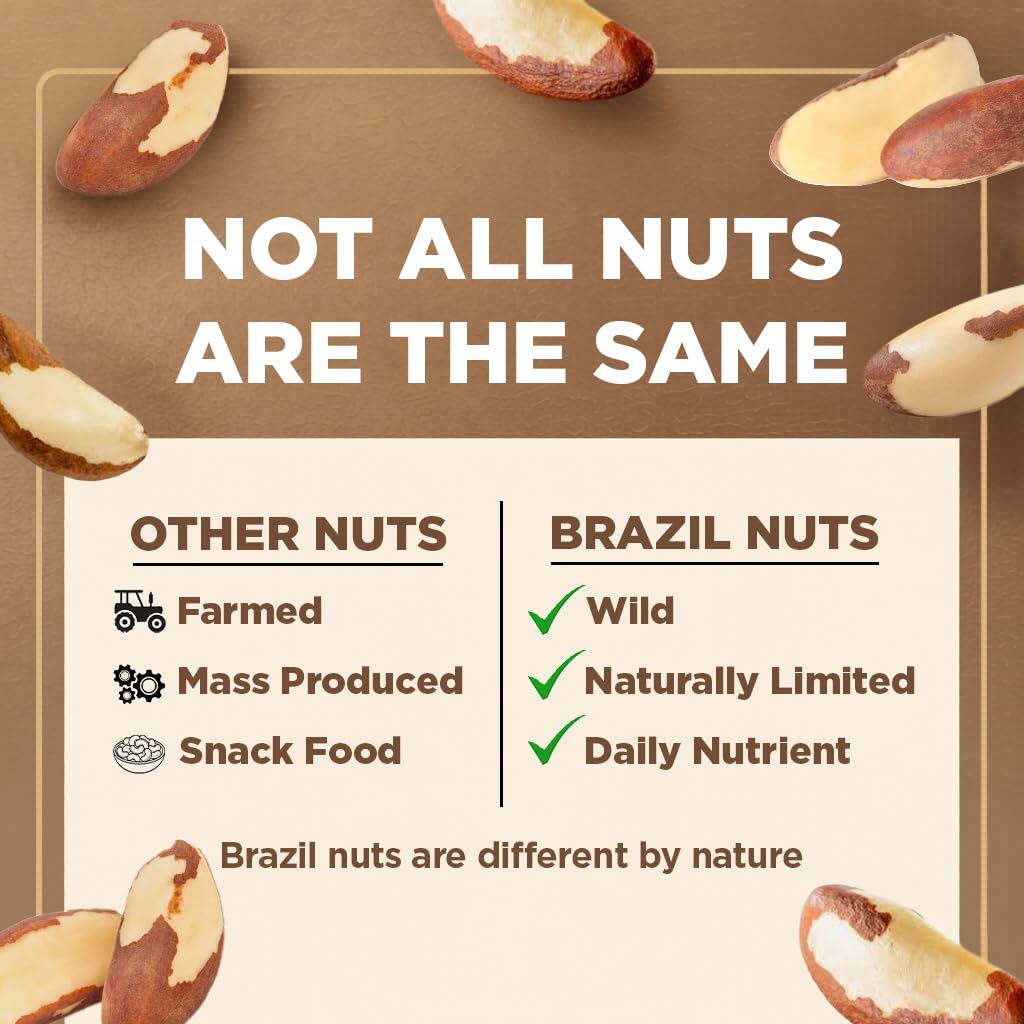 Premium Wild Harvested Raw Brazil Nuts, (8oz) - High Selenium, Batch Tested Peanut & Gluten Free, Non-GMO, Kosher, Resealable Bag