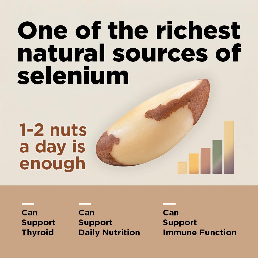 Premium Wild Harvested Raw Brazil Nuts, 1 lb (16oz) – High Selenium, Batch Tested Peanut & Gluten Free, Non-GMO, Kosher, Resealable Bag