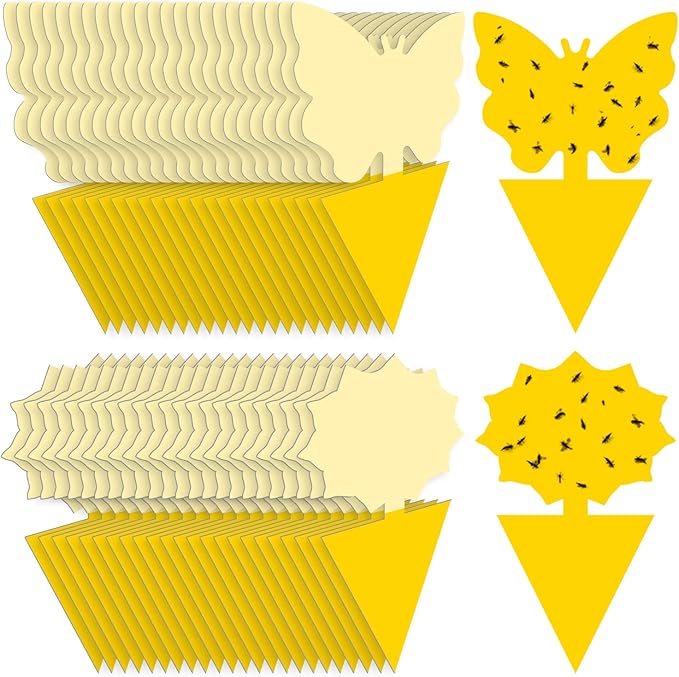 Landisun Fruit Fly Traps 48PCS Fungus Gnat-Traps for Indoor-Outdoor Yellow Fruit-Fly Sticky-Trap Plants Flying Bug Insects Traps