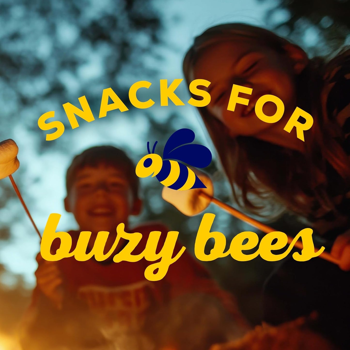 HONEY MAID Fresh Stacks Salted Caramel Graham Crackers, Limited Edition, Travel Snacks, 12.2 oz (6 Multi Snack Packs)