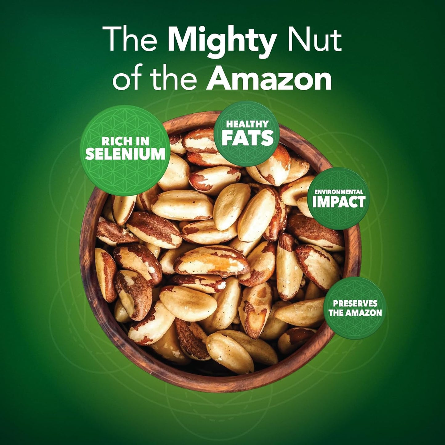 I Am Organic Brazil Wild Nuts | Raw Brazil Nuts | 100% Wild Grown, Sustainably Collected | Prevents Deforestation | Rich in Selenium | Non-GMO, Natural Snack | 7oz Pouch