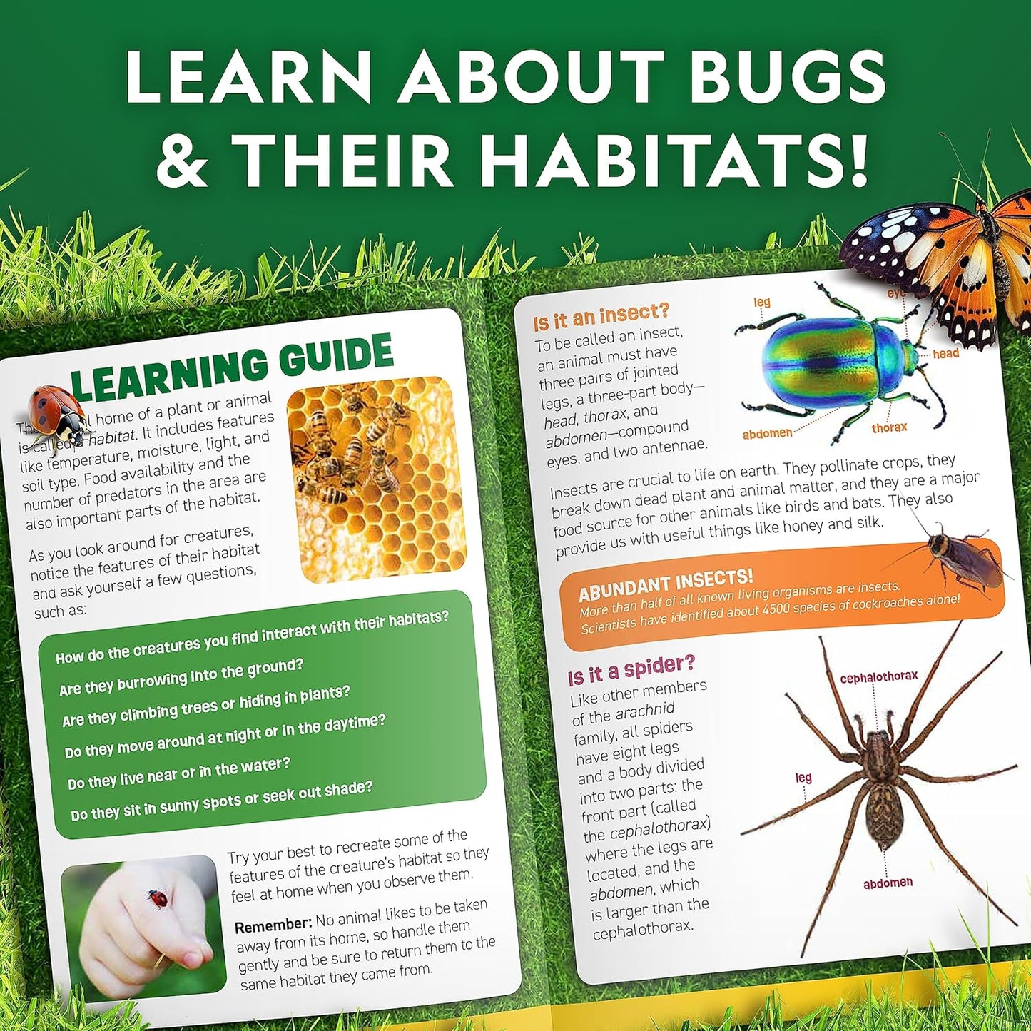 National Geographic Bug Catcher Kit for Kids - Kids Bug Habitat with Magnified Viewer, Bug Catcher, Tweezers & Learning Guide, Insect Habitat, Outdoor Toys, Kids Bug Catching Kit, Bug Box