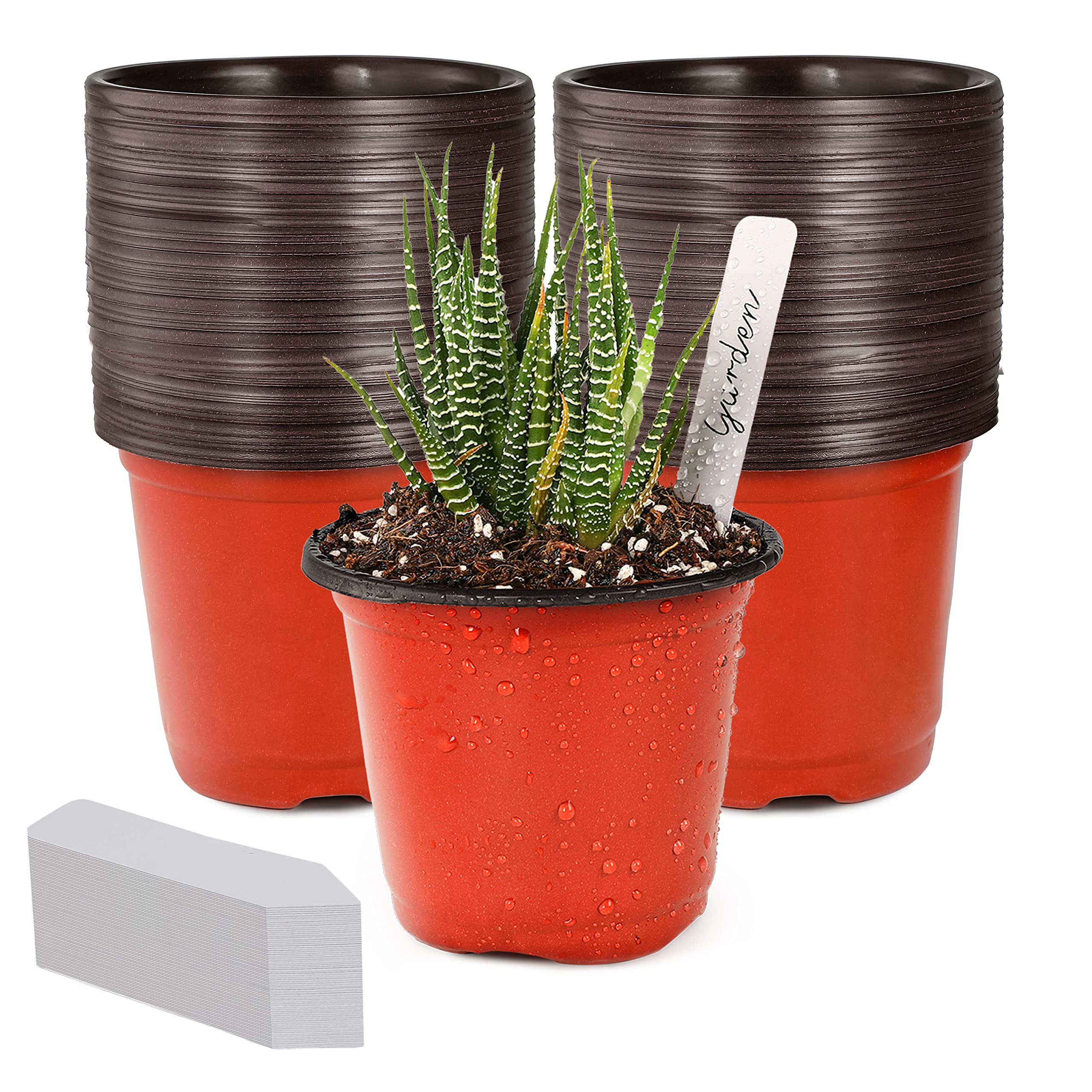 TDHDIKE 4" Small Plastic Plant Nursery Pot/Pots (100pcs) Seedlings Flower Plant Container Seed Starting Pots , Come with 100pcs Plant Labels