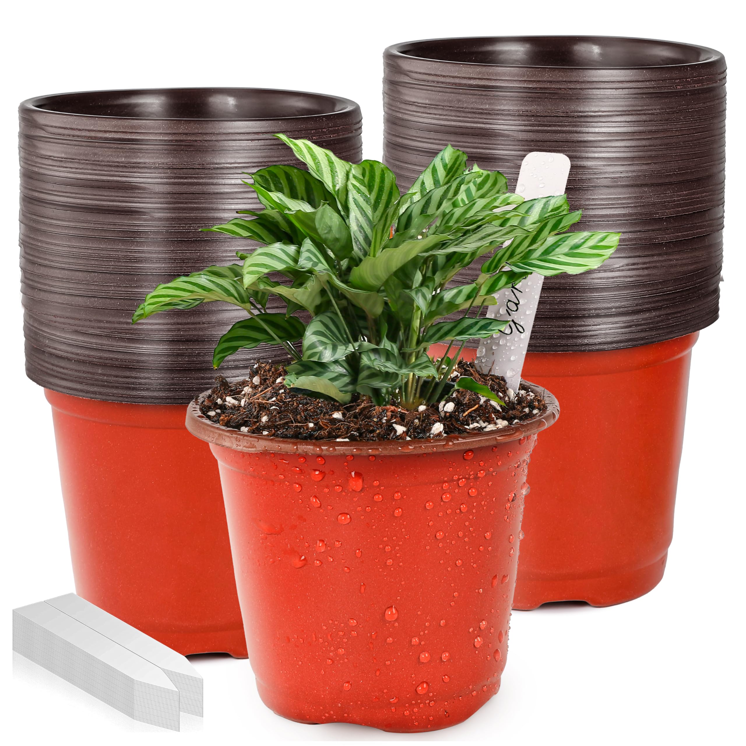 Plant Nursery Pot/Pots 100 Pcs 4" Plastic Small Plants Pots Flower Pots Seed Starting Pots for Plants Indoor Outdoor Seedling pots (with 100 Plant Labels)