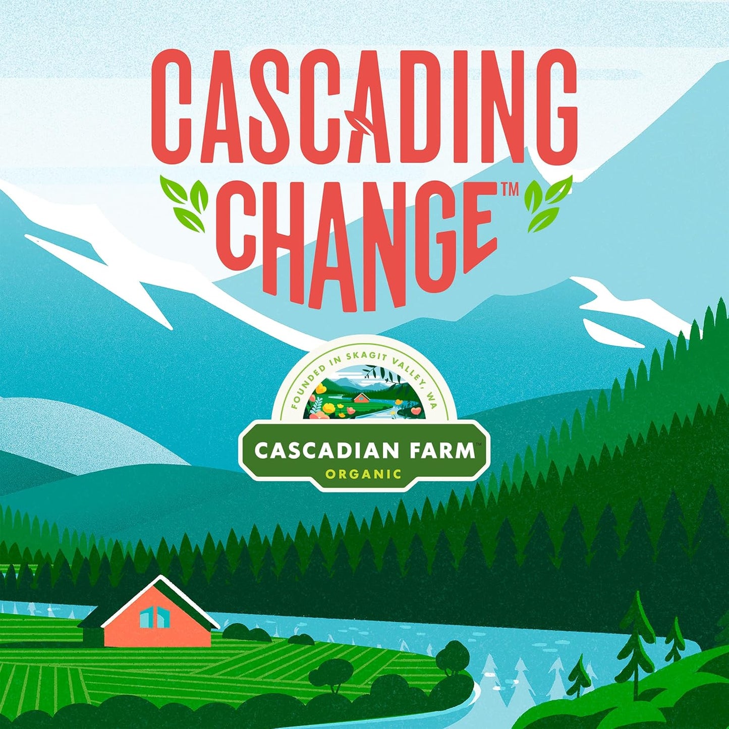 Cascadian Farm Organic Chewy Granola Bars, Dark Chocolate Chip, Value Size, 10 Bars, 12.3 oz